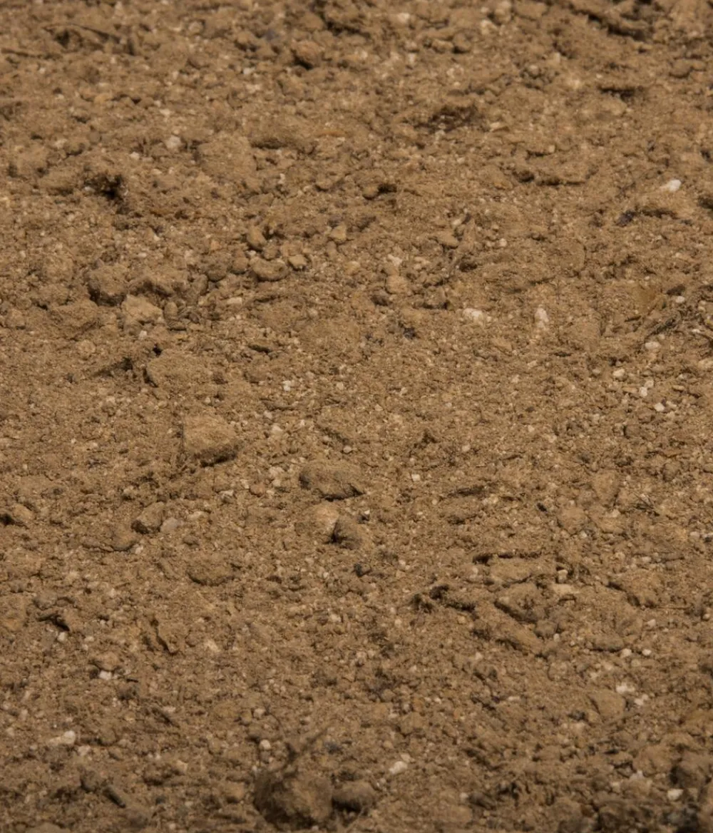 Compo Universaldünger|Blumendünger > BIO Naturdünger mit Guano