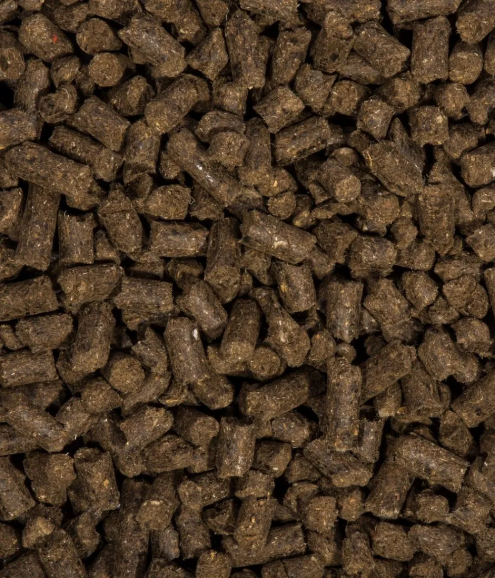 Compo Universaldünger|Blumendünger > BIO Universal Langzeit-Dünger mit Schafwolle, 2 kg