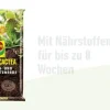 Compo CACTEA® Kakteen- und Sukkulentenerde, 5 l Online