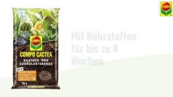 Compo CACTEA® Kakteen- und Sukkulentenerde, 5 l Online