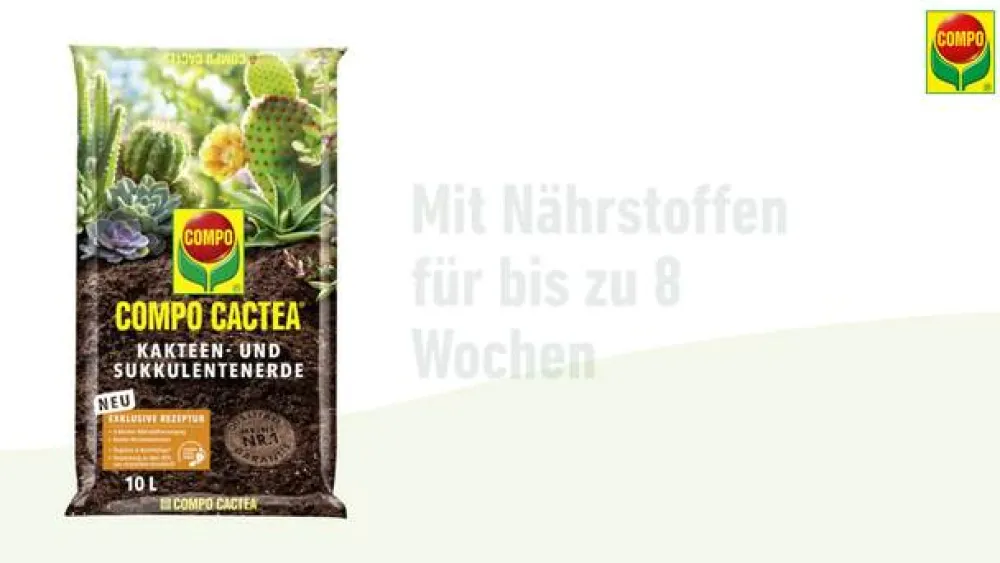 Compo CACTEA® Kakteen- und Sukkulentenerde, 5 l Online