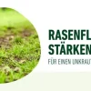 Compo Rasendünger|Spezialdünger > Rasendünger Unkraut & Moos Nein danke!, 1,3 l
