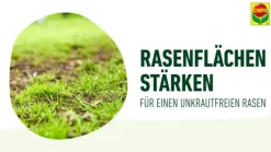 Compo Rasendünger|Spezialdünger > Rasendünger Unkraut & Moos Nein danke!, 1,3 l