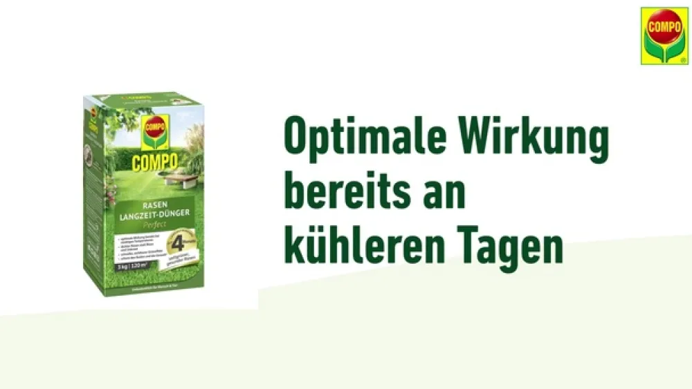 Compo Rasen Langzeit-Dünger Perfect Best