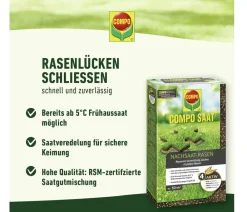 Compo Rasensamen - Saat® Nachsaat-Rasen