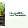 Compo Spezialerde > SANA® Grünpflanzen- und Palmenerde, 20 l