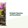 Compo Spezialerde > SANA® Orchideenerde, 5 l