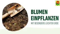 Compo Sana® Qualitäts-Blumenerde 50% weniger Gewicht New