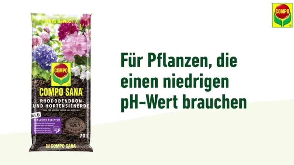 Compo Spezialerde > SANA® Rhododendron- und Hortensienerde