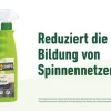 Compo Spinnen-Raus, 750 ml Clearance