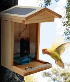CROCI Vogelfutterhaus Smart Wi-Fi, inkl. Kamera, ca. B23/H32,5/T24 cm Braun Best