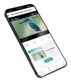 CROCI Vogelfutterhaus Smart Wi-Fi, inkl. Kamera, ca. B23/H32,5/T24 cm Braun Best