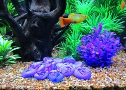 Dehner Aqua Aquariumdeko Glas-Steine, 750 g Dunkelblau Discount