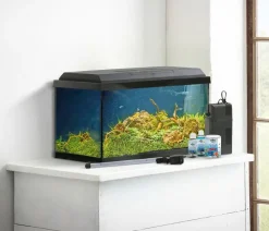 Dehner Aqua Aquarium-Set Aqua Start 60, Schwarz Outlet
