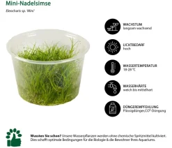 Dehner Aqua Premium Aquariumpflanzen > Aquarienpflanzen-Set für JUWEL® AQUARIUM Lido 120 LED, 18-teilig