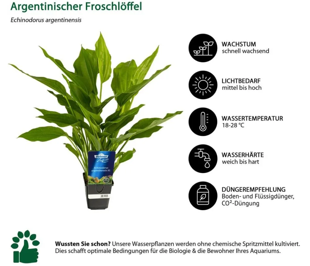 Dehner Aqua Premium Aquarienpflanzen-Set für JUWEL® AQUARIUM Rio 125 LED, 17-teilig Clearance