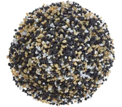 Dehner Aqua Premium Farbkies Kenia, 2-3 mm Sale