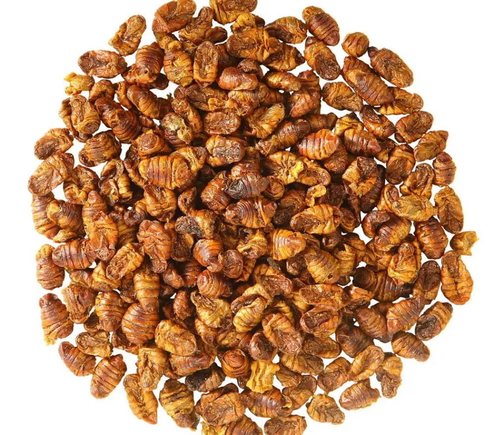 Dehner Aqua Teichfischsnack Seidenraupen, 300 g Hot
