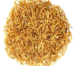 Dehner Aqua Teichfischsnack Mehlwürmer, 160 g Sale