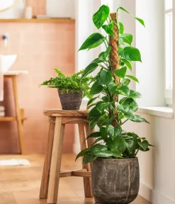 Dehner Übertopf-Set Green Living, 2-teilig Clearance