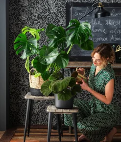 Dehner Übertopf-Set Urban Green, 2-teilig Discount