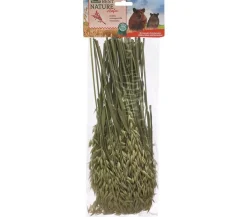 Dehner Best Nature Nahrungsergänzung Kleintiere > Hafer, 75 g