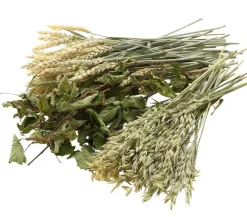 Dehner Best Nature Nahrungsergänzung Kleintiere > Hafer, 75 g
