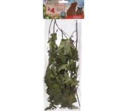 Dehner Best Nature Haselnuss, 25 g Outlet