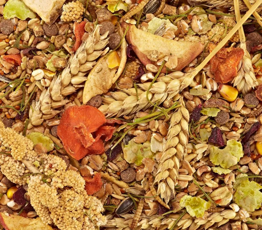 Dehner Best Nature Kleintierfutter - Mäusefutter, 500 g