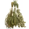 Dehner Best Nature Vogelfutter & Snacks > Rispenhirse, 50 g