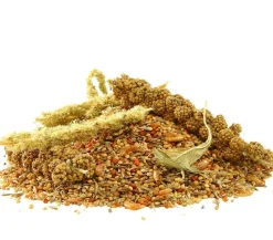 Dehner Best Nature Vogelfutter für Exoten Clearance