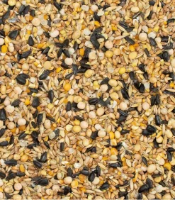 Dehner Best Nature Bauernhof Zubehör > Wachtelfutterergänzung Bio Wachtelkorn