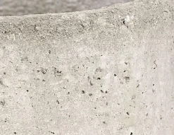 Dehner Blumentöpfe & Übertöpfe > Beton-Übertopf Jimmy, rund,