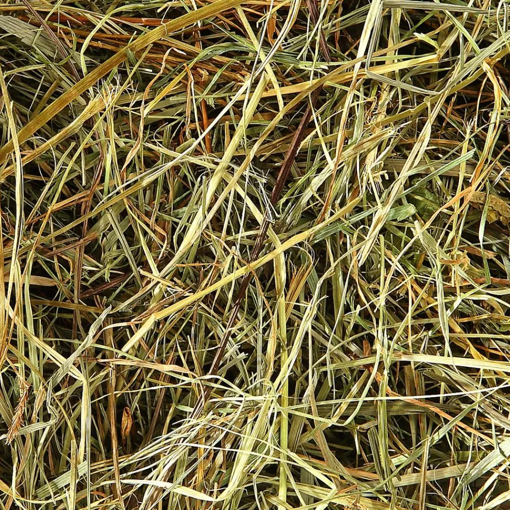 Dehner Bio Stroh & Streu|Heu - Bergwiesenheu, 1,25 kg