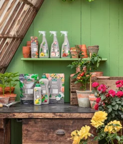 Dehner Bio Obst- & Gemüsedünger|Spezialdünger - Düngestäbchen Tomaten & Gemüse, 30 Stück