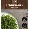 Dehner Bio -Keimsprossen 'Brokkoli' Online