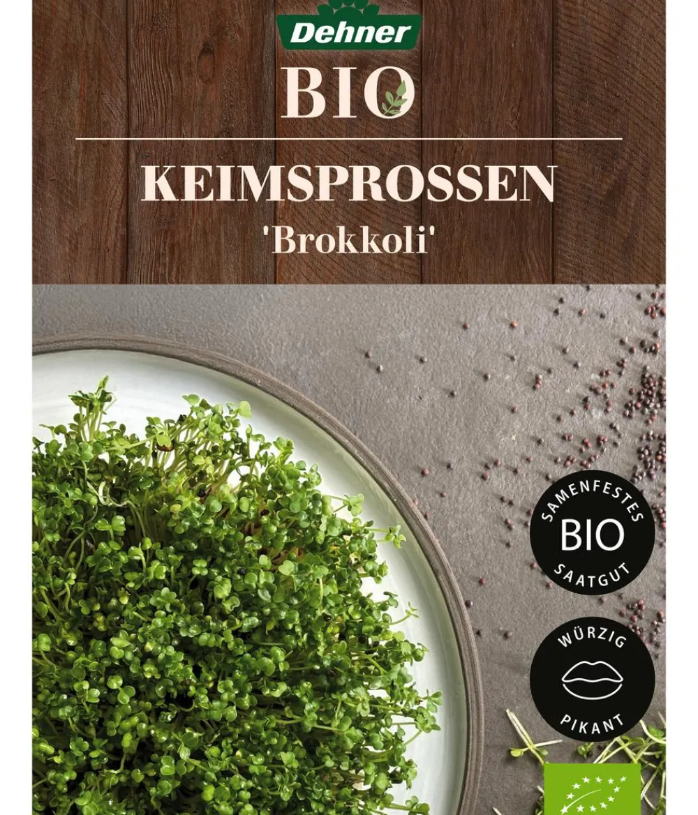 Dehner Bio -Keimsprossen 'Brokkoli' Online