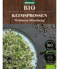 Dehner Bio Gemüsesamen > -Keimsprossen 'Wellness-Mischung'