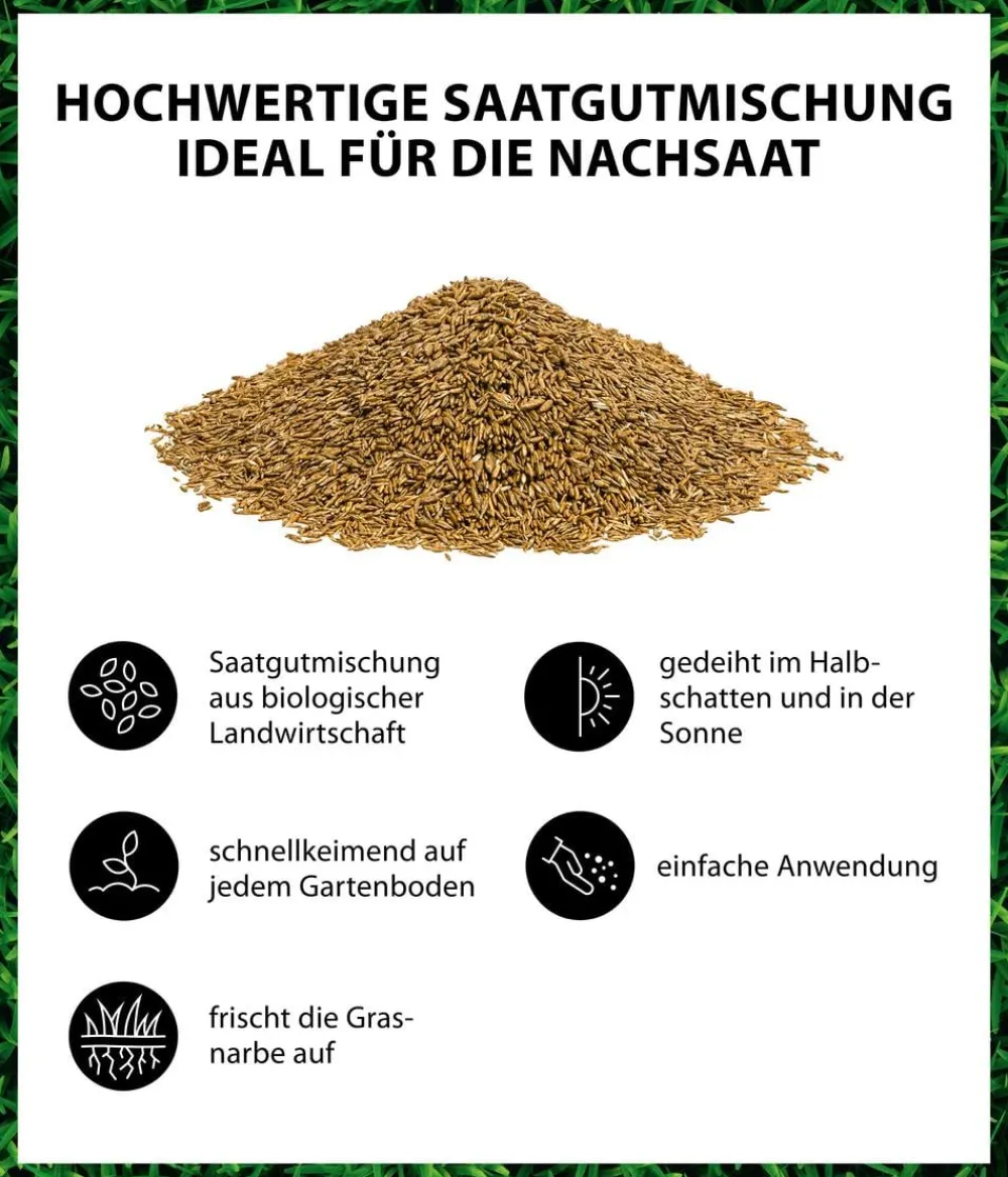 Dehner Bio Rasensamen > Rasen-Nachsaat, 500 g