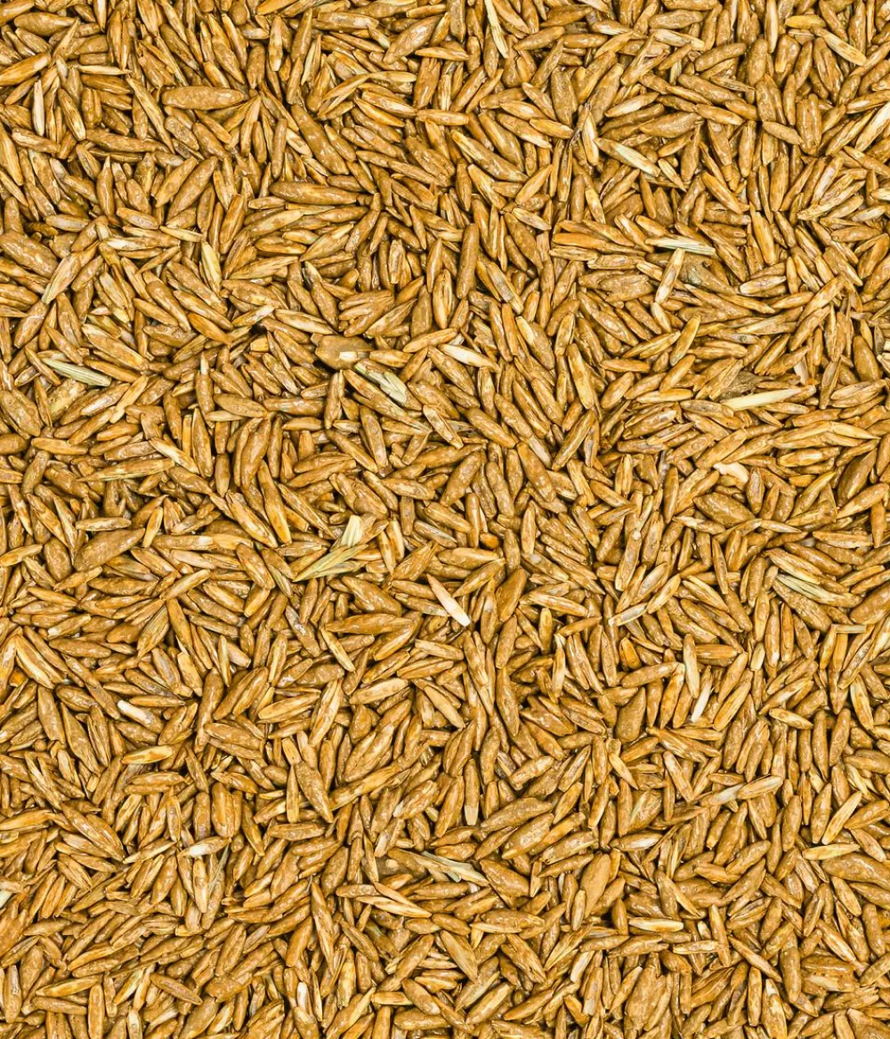 Dehner Bio Rasensamen > Rasen-Nachsaat, 500 g