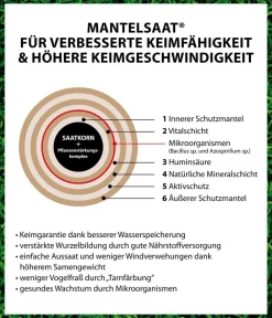 Dehner Bio Rasensamen > Rasen-Nachsaat, 500 g