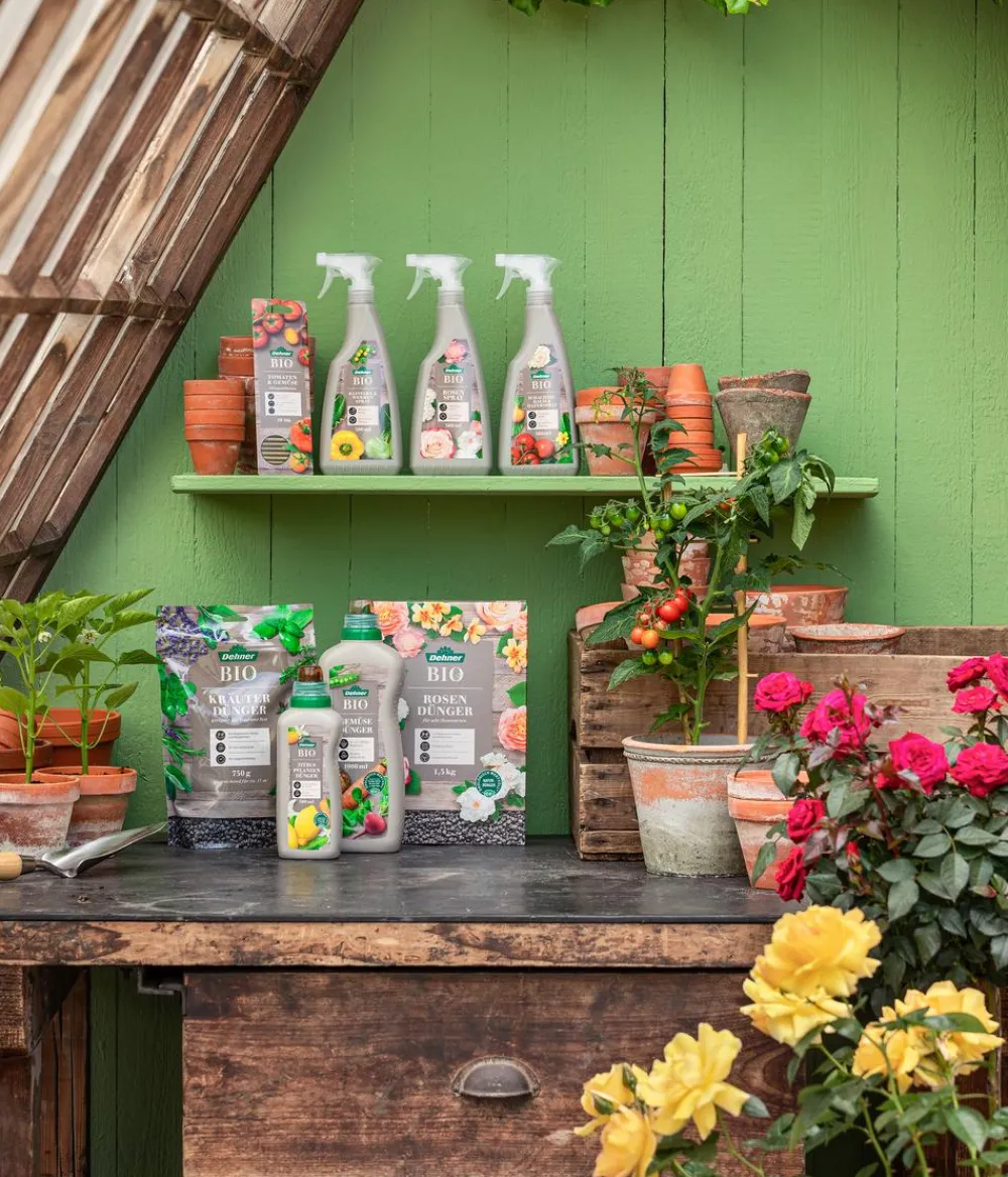 Dehner Bio Rosen-Dünger, 1,5 kg Sale