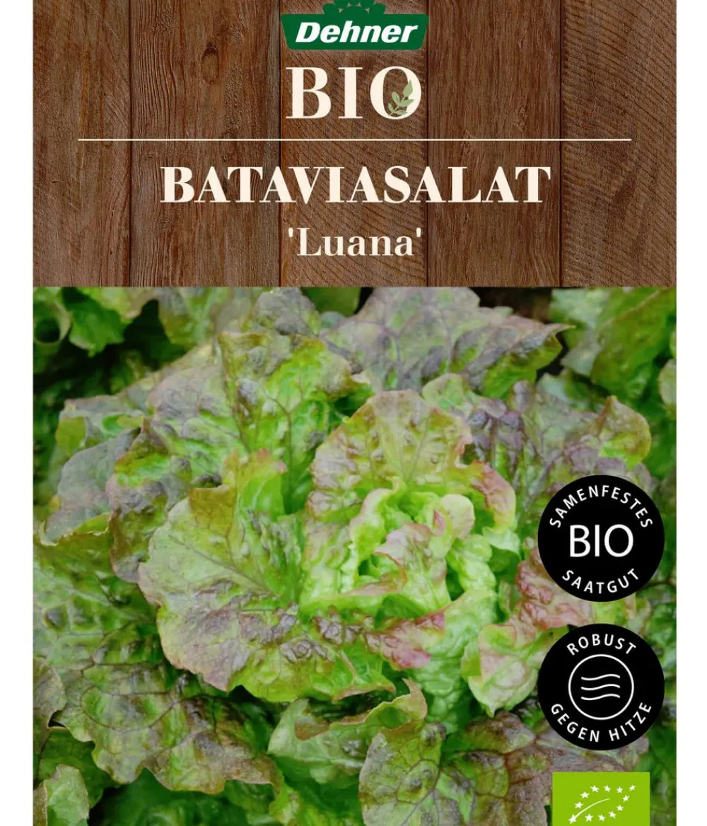 Dehner Bio Gemüsesamen - -Saatgut Bataviasalat 'Luana'