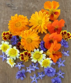 Dehner Bio Blumensamen - -Saatgut Essbare Blüten