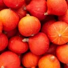 Dehner Bio Gemüsesamen - -Saatgut Hokkaido-Kürbis 'Uchiki Kuri'