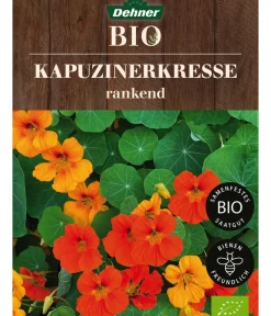 Dehner Bio Blumensamen > -Saatgut Kapuzinerkresse, rankend