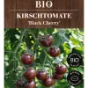 Dehner Bio -Saatgut Kirschtomate 'Black Cherry' Best