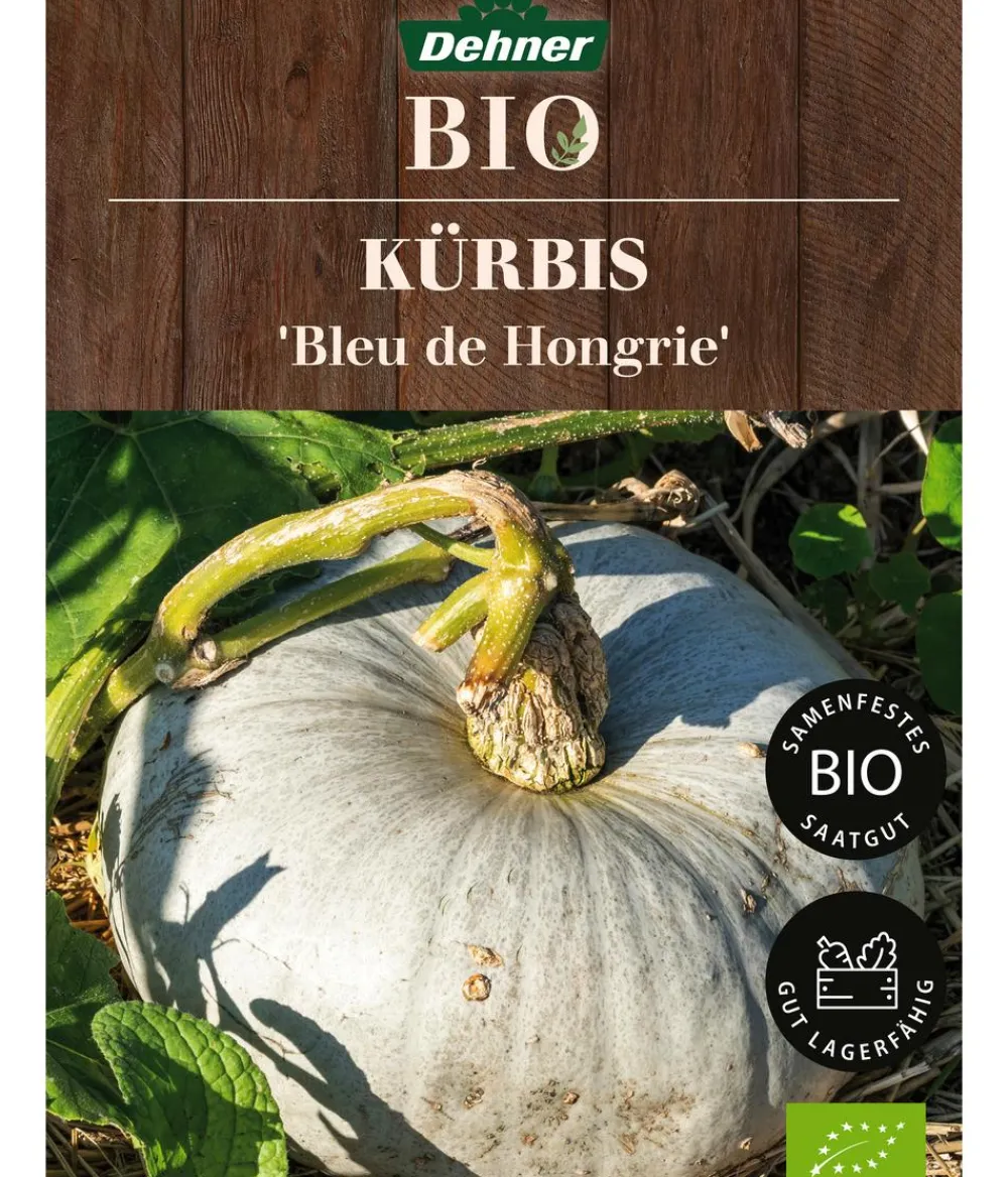 Dehner Bio Gemüsesamen > -Saatgut Kürbis 'Bleu de Hongrie'