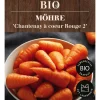 Dehner Bio Gemüsesamen > -Saatgut Möhre 'Chantenay à coeur Rouge 2'