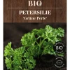 Dehner Bio Kräutersamen > -Saatgut Petersilie 'Grüne Perle'
